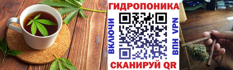 MEGA онион  Вилючинск  маркетплейс какой сайт  Печенье с ТГК марихуана 