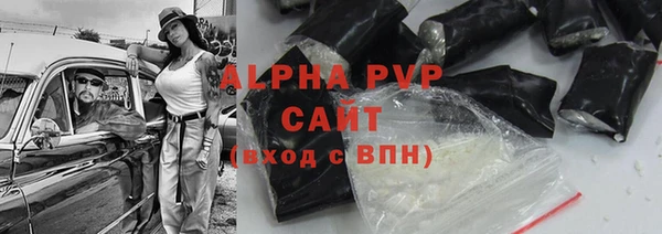 сатива Билибино