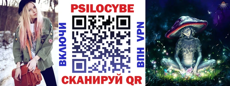 Псилоцибиновые грибы Magic Shrooms  MEGA ССЫЛКА  Вилючинск  цена  